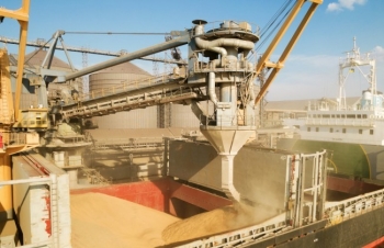 Nga đã phá hủy gần 300.000 tấn ngũ cốc Ukraine kể từ tháng 07