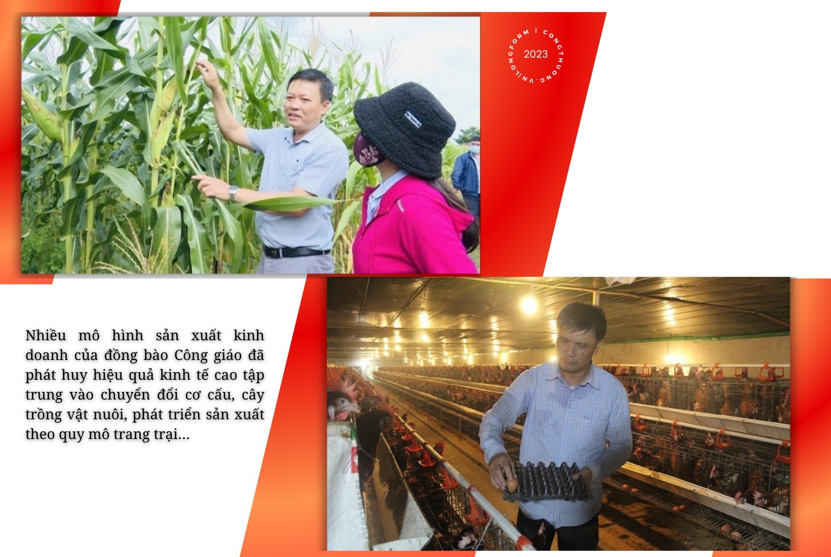 Longform | Chung tay phát triển kinh tế - xã hội: Nét đẹp của đồng bào Công giáo Việt Longform | Chung tay phát triển kinh tế - xã hội: Nét đẹp của đồng bào Công giáo Việt