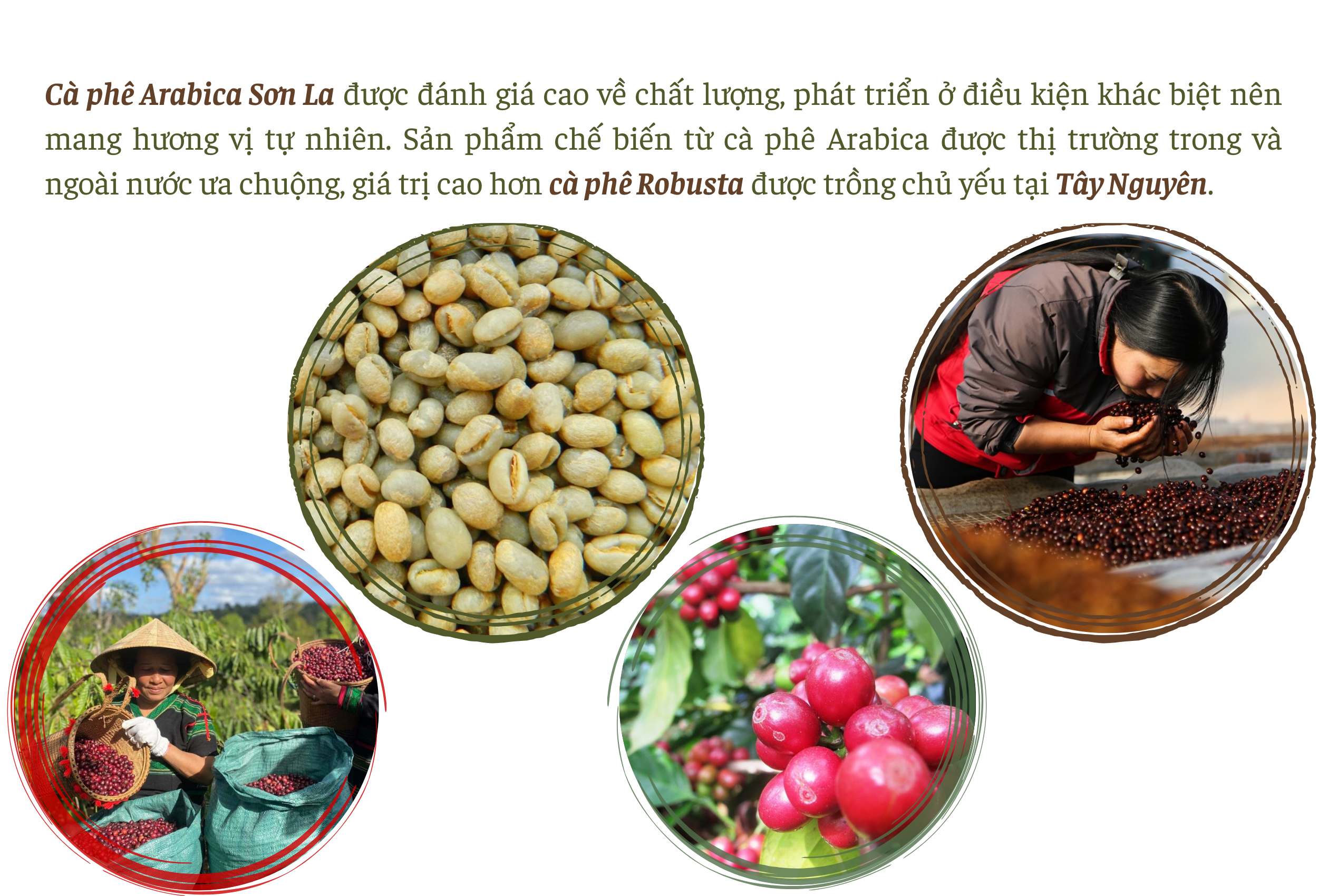 Longform | Tự hào những thương hiệu Việt Nam vươn tầm thế giới Longform | Tự hào những thương hiệu Việt Nam vươn tầm thế giới