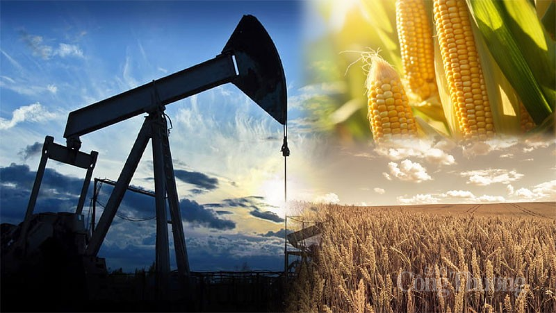 Thị trường hàng hóa hôm nay ngày 17/10/2023:Giá dầu giảm, giá lúa mì Mỹ gặp sức ép cạnh tranh từ Nga Thị trường hàng hóa hôm nay ngày 17/10/2023:Giá dầu giảm, giá lúa mì Mỹ gặp sức ép cạnh tranh từ Nga