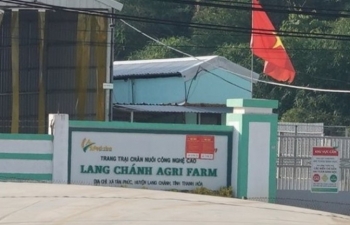 Thanh Hóa: Xử phạt trang trại lợn gây ô nhiễm môi trường gần 100 triệu đồng