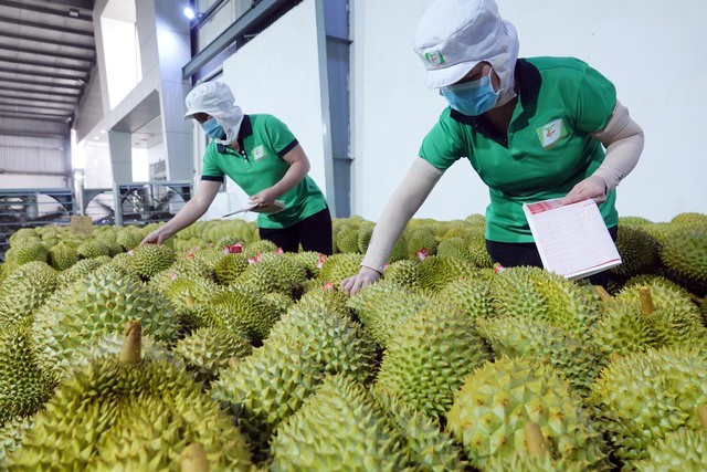 Trung Quốc tiếp tục là đối tác thương mại lớn nhất của Việt Nam Trung Quốc tiếp tục là đối tác thương mại lớn nhất của Việt Nam