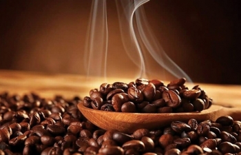 Giá cà phê mới nhất ngày 18/10/2023: Thị trường trong nước tăng nhẹ 100 đồng/kg