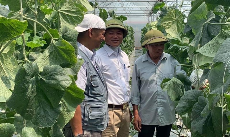 Hải Dương: “Quả ngọt” từ ứng dụng công nghệ cao trong nông nghiệp Hải Dương: “Quả ngọt” từ ứng dụng công nghệ cao trong nông nghiệp