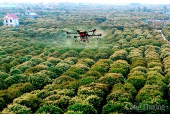 Hải Dương: “Trái ngọt” từ ứng dụng công nghệ cao trong nông nghiệp