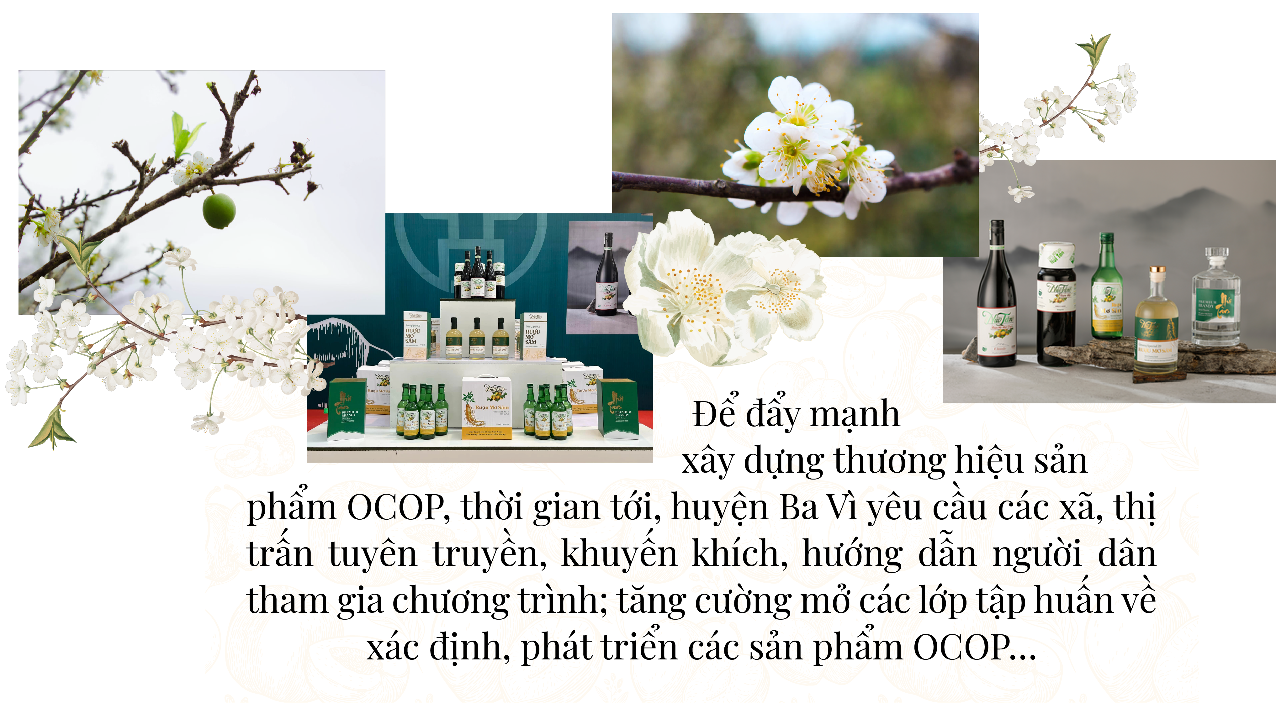 Longform | Những “Giọt lành” núi Tản Longform | Những “Giọt lành” núi Tản