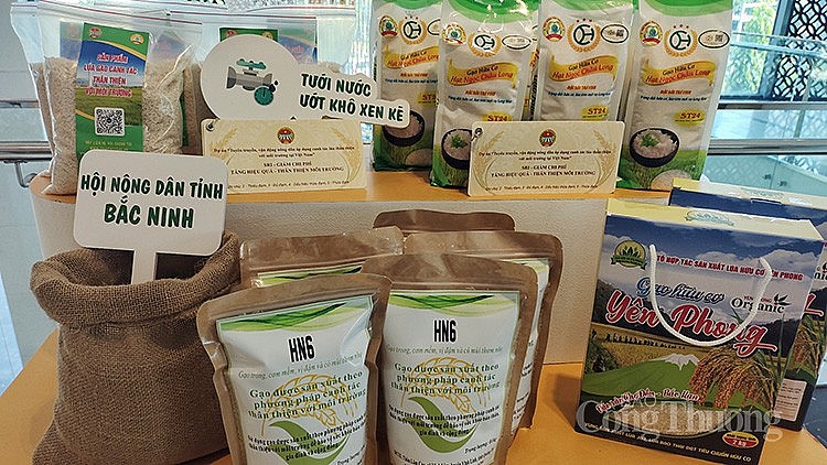 Canh tác lúa thân thiện với môi trường giúp giảm phát thải khí nhà kính Canh tác lúa thân thiện với môi trường giúp giảm phát thải khí nhà kính