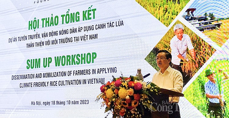 Canh tác lúa thân thiện với môi trường giúp giảm phát thải khí nhà kính Canh tác lúa thân thiện với môi trường giúp giảm phát thải khí nhà kính