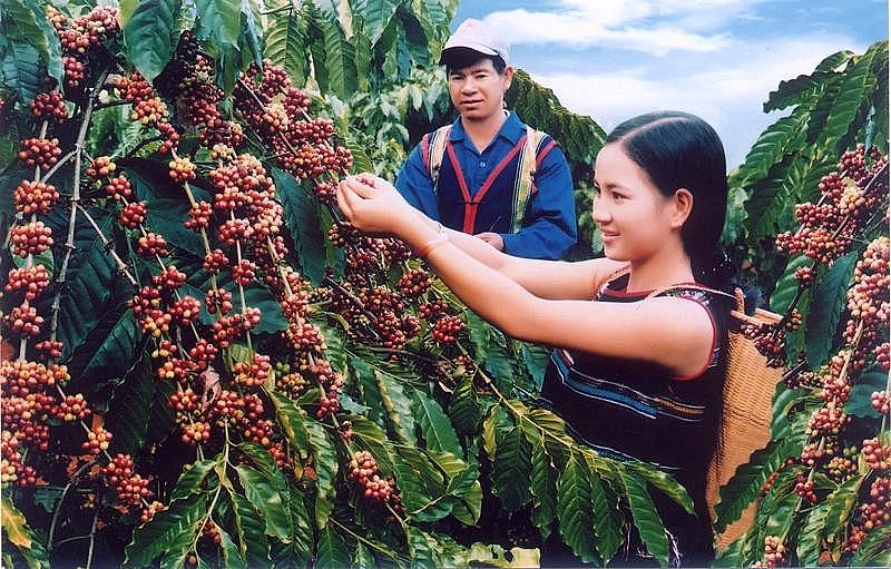 Ảnh minh họa Ảnh minh họa