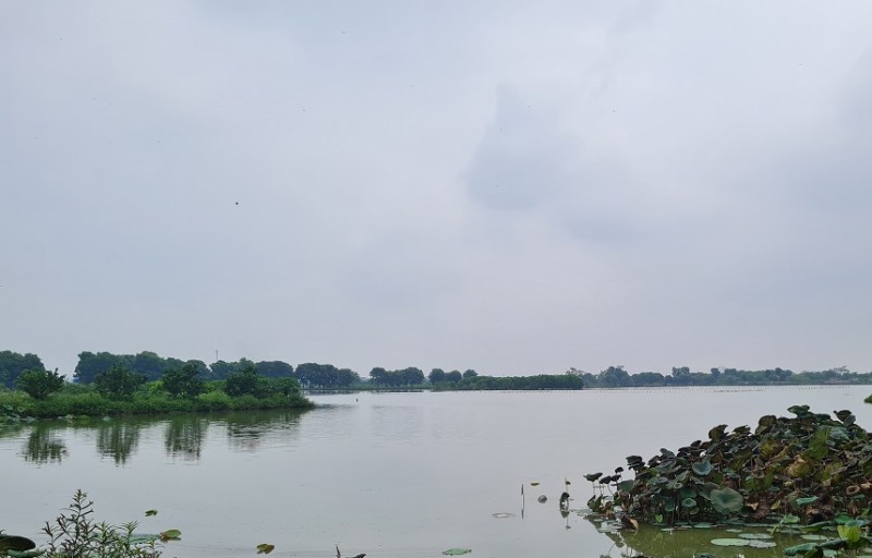 Cụm công nghiệp APEC bơm nước thải khiến hàng chục héc ta đất bị ngập? Cụm công nghiệp APEC bơm nước thải khiến hàng chục héc ta đất bị ngập?