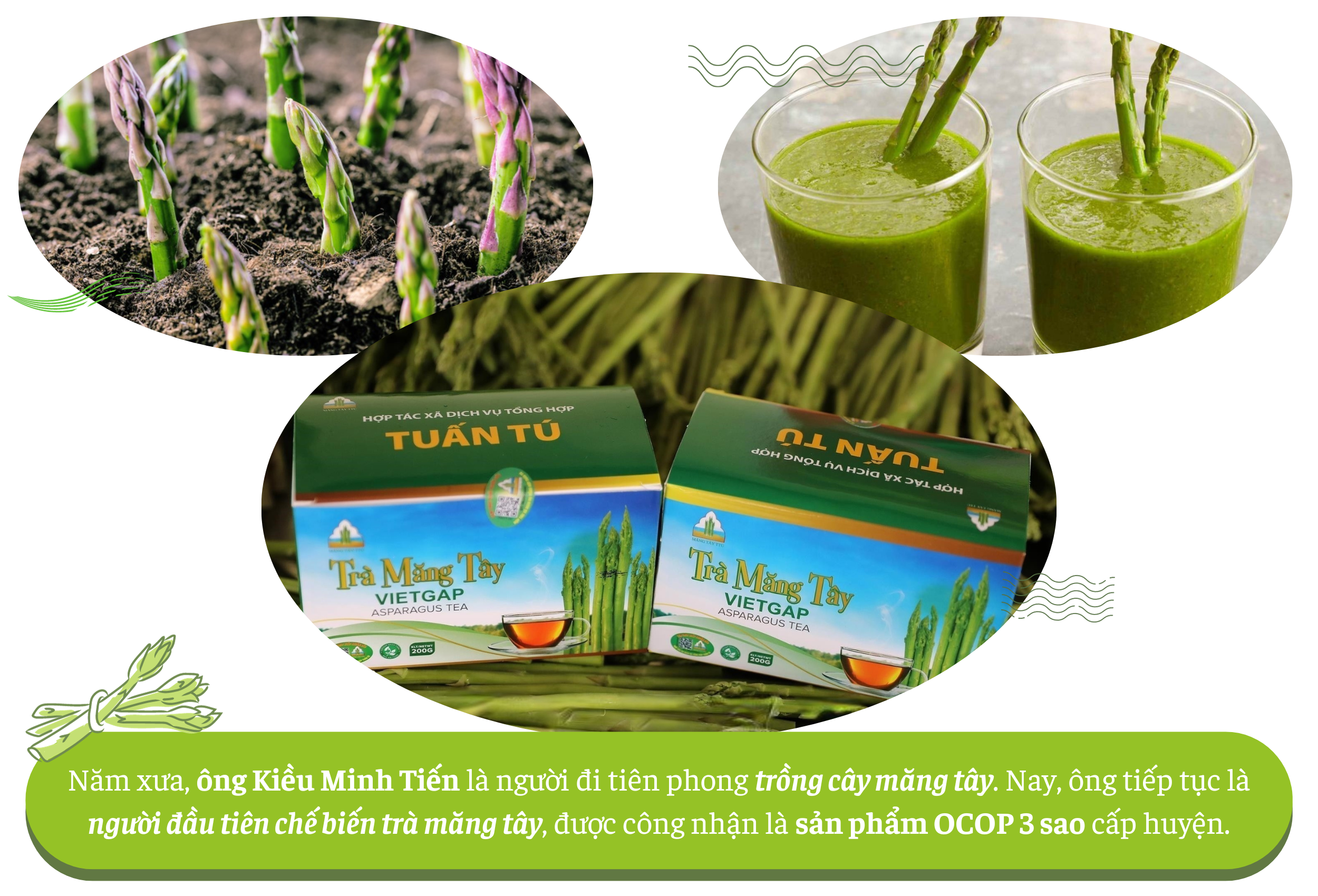 Longform | Đồng bào Chăm Ninh Thuận: Làm giàu từ cây măng tây xanh giữa vùng cát trắng Longform | Đồng bào Chăm Ninh Thuận: Làm giàu từ cây măng tây xanh giữa vùng cát trắng