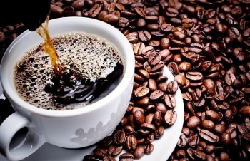 Giá cà phê mới nhất ngày 20/10/2023: Thị trường trong nước giảm mạnh từ 7000-7.100 đồng/kg