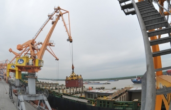 Tận dụng RCEP, thiết lập thị trường xuất khẩu ổn định, bền vững