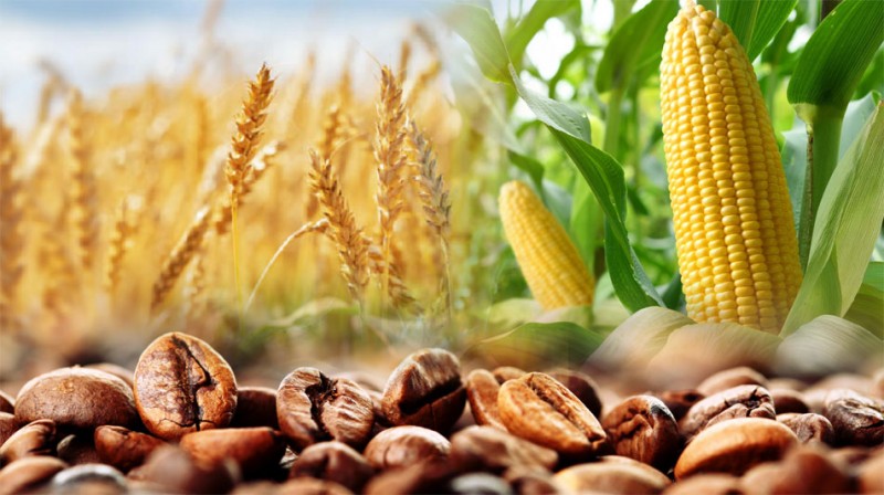 Thị trường hàng hóa hôm nay ngày 20/10/2023: Giá ngô tăng mạnh, kim loại quý tăng phiên thứ 3 liên tiếp Thị trường hàng hóa hôm nay ngày 20/10/2023: Giá ngô tăng mạnh, kim loại quý tăng phiên thứ 3 liên tiếp