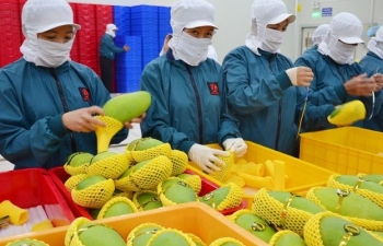 Chủ tịch Trung Quốc Tập Cận Bình: Sẵn sàng mở rộng nhập khẩu hàng hóa của Việt Nam