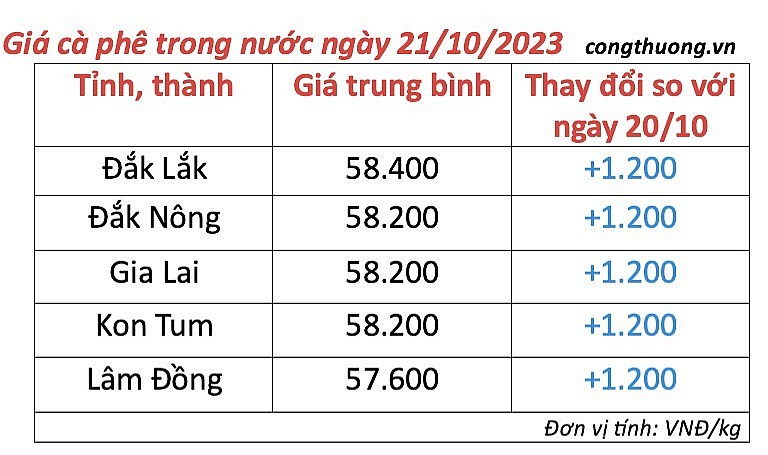 Thị trường cà phê trong nước ngày 21/10/2023 Thị trường cà phê trong nước ngày 21/10/2023