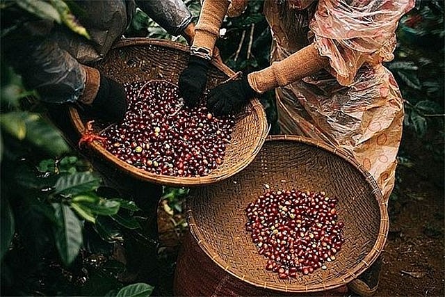 Ảnh minh họa Ảnh minh họa