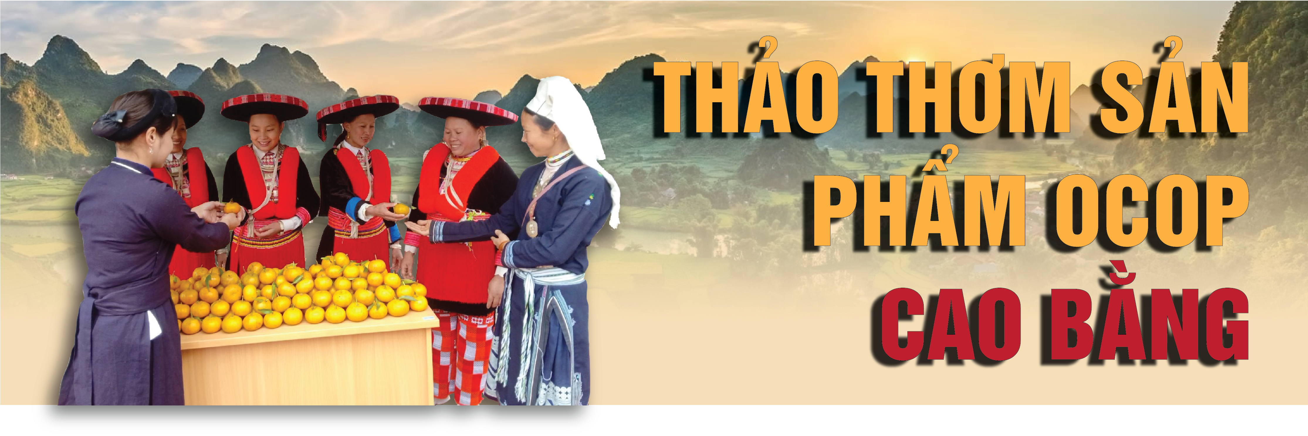 Longform | Thảo thơm sản phẩm OCOP Cao Bằng Longform | Thảo thơm sản phẩm OCOP Cao Bằng