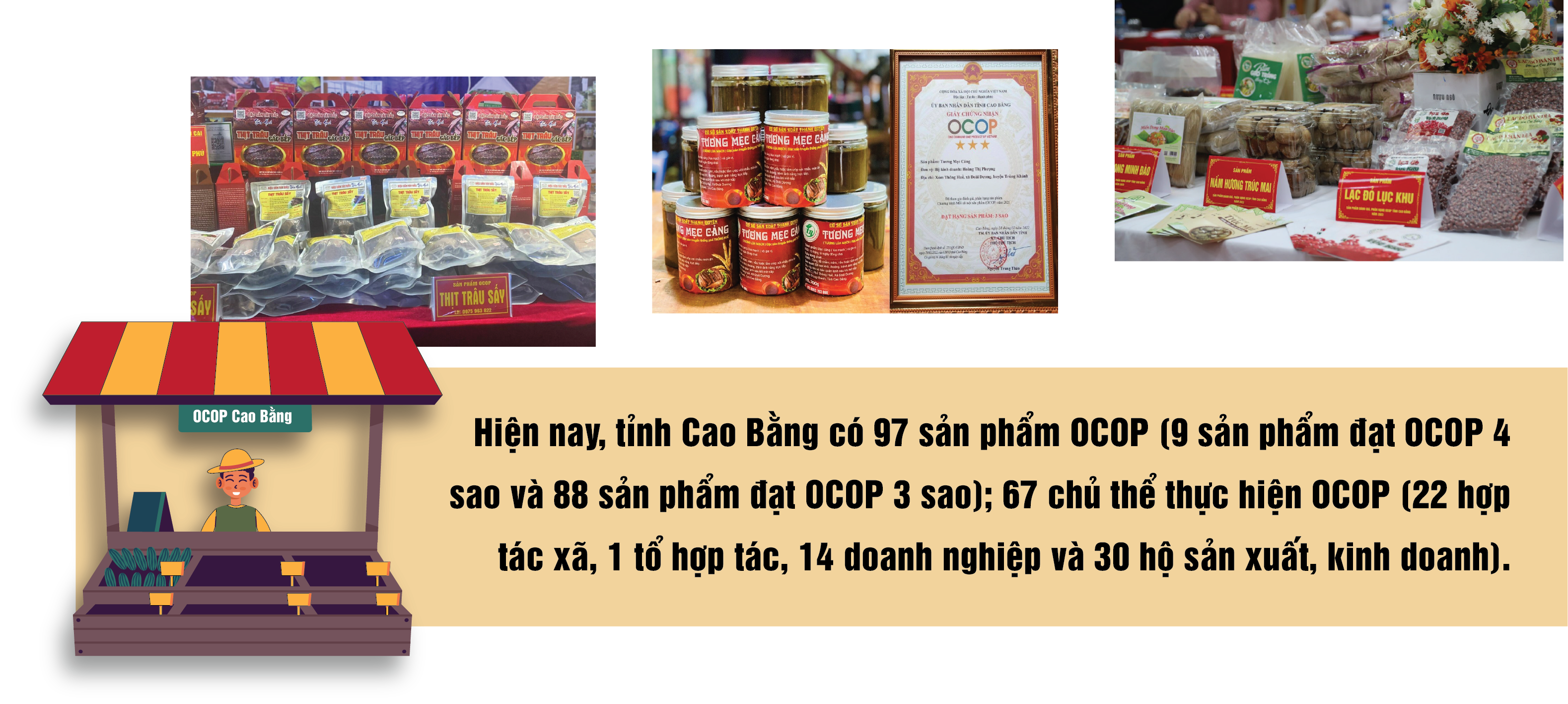 Longform | Thảo thơm sản phẩm OCOP Cao Bằng Longform | Thảo thơm sản phẩm OCOP Cao Bằng