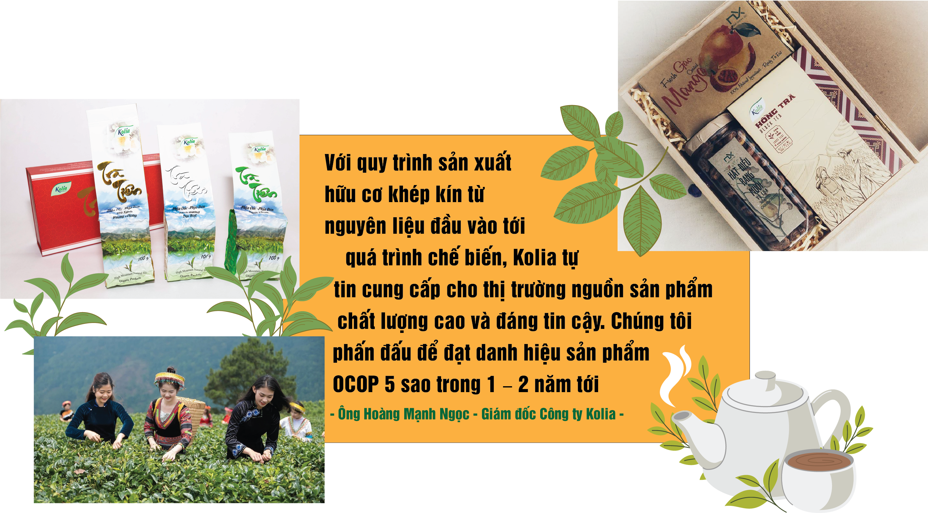 Longform | Thảo thơm sản phẩm OCOP Cao Bằng Longform | Thảo thơm sản phẩm OCOP Cao Bằng