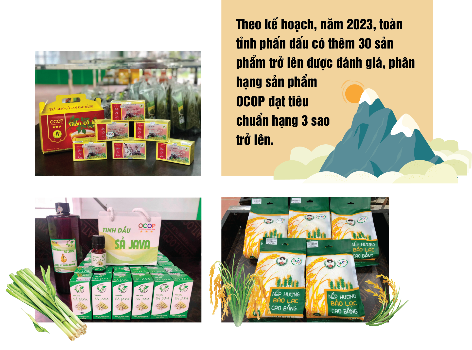 Longform | Thảo thơm sản phẩm OCOP Cao Bằng Longform | Thảo thơm sản phẩm OCOP Cao Bằng