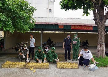 Bản tin Chống buôn lậu 23/10: Nhập lậu gia cầm gia tăng; Xử phạt kinh doanh phân bón không đủ điều kiện