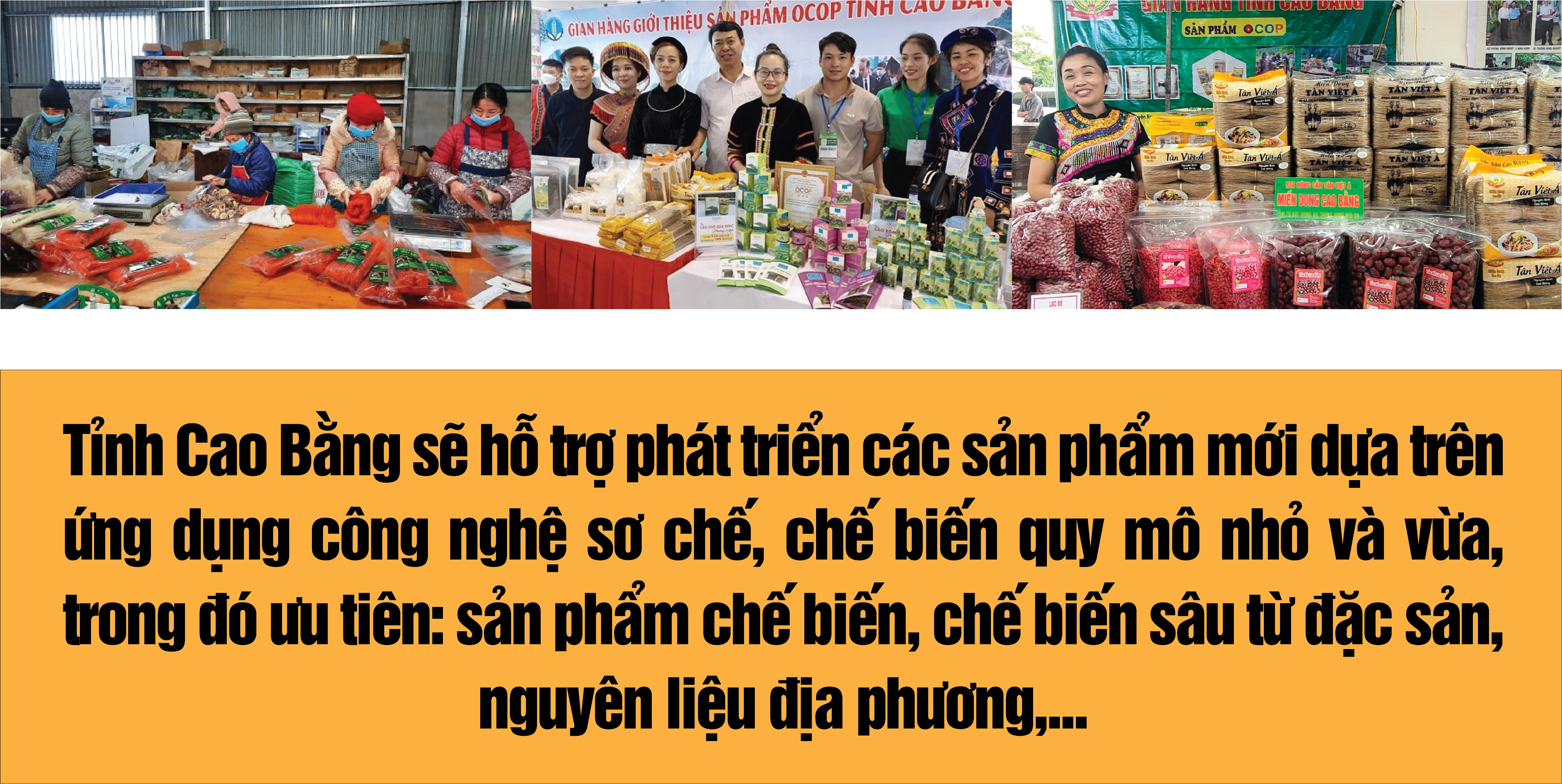 Longform | Thảo thơm sản phẩm OCOP Cao Bằng Longform | Thảo thơm sản phẩm OCOP Cao Bằng