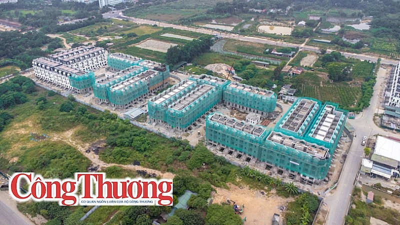 the jade orchild the jade orchild