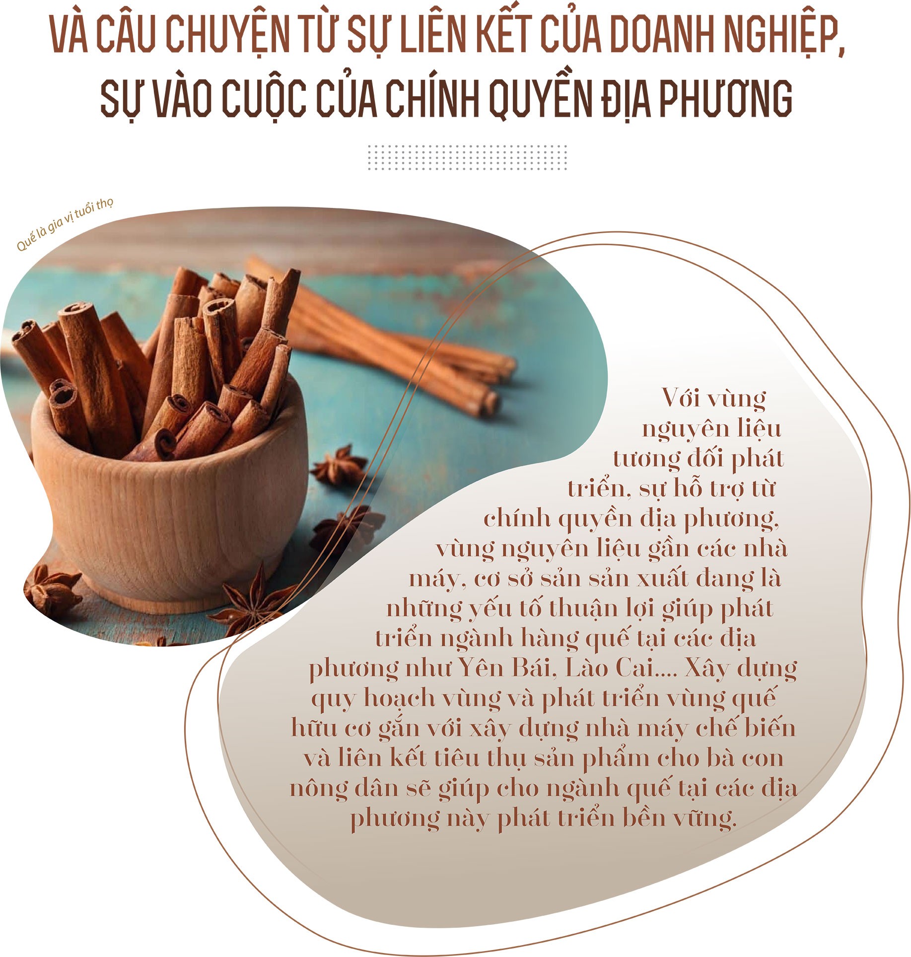 Nâng thu nhập, tạo sinh kế cho bà con vùng đồng bào dân tộc Nâng thu nhập, tạo sinh kế cho bà con vùng đồng bào dân tộc