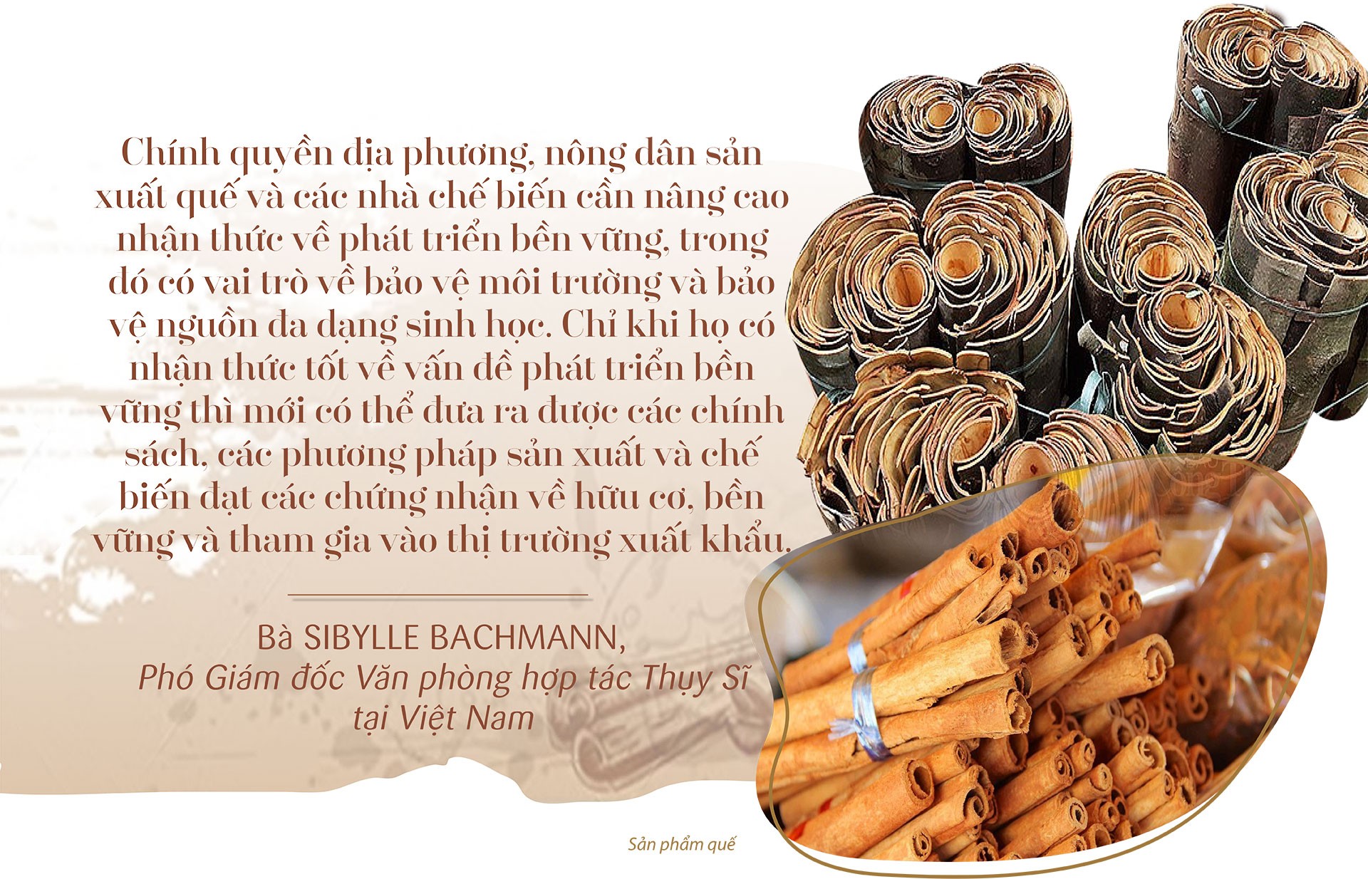 Longform | Nâng thu nhập, tạo sinh kế cho bà con vùng đồng bào dân tộc Longform | Nâng thu nhập, tạo sinh kế cho bà con vùng đồng bào dân tộc