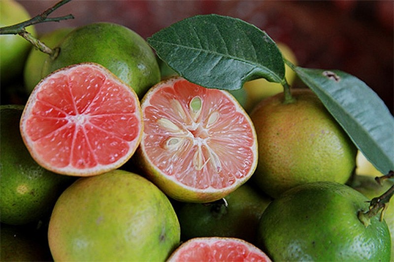 Chanh đào mật ong có tác dụng gì? Chanh đào mật ong có tác dụng gì?