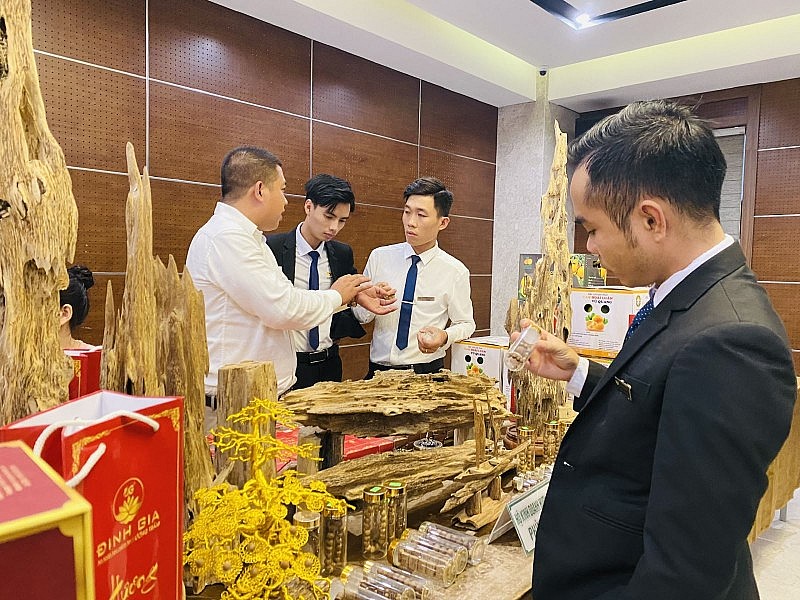 Trầm hương Đinh Gia, Phúc Trạch, Hương Khê Trầm hương Đinh Gia, Phúc Trạch, Hương Khê