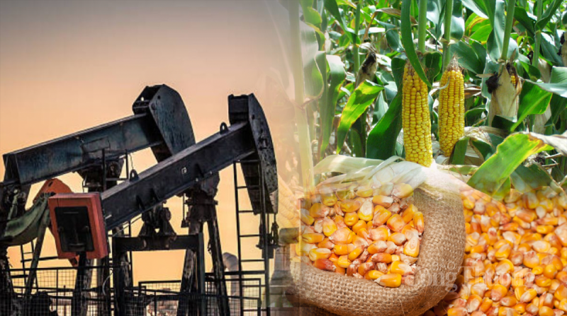 Thị trường hàng hóa hôm nay ngày 25/10/2023: Lực bán vẫn áp đảo trên thị trường hàng hóa nguyên liệu Thị trường hàng hóa hôm nay ngày 25/10/2023: Lực bán vẫn áp đảo trên thị trường hàng hóa nguyên liệu