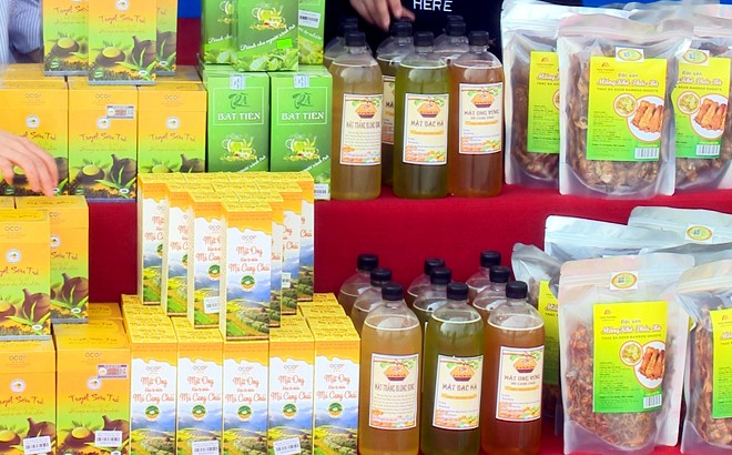 Yên Bái xác định thương mại điện tử là kênh thông tin quan trọng Yên Bái xác định thương mại điện tử là kênh thông tin quan trọng