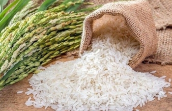 Giá gạo xuất khẩu của Việt Nam lại lập đỉnh, nông dân lãi lớn