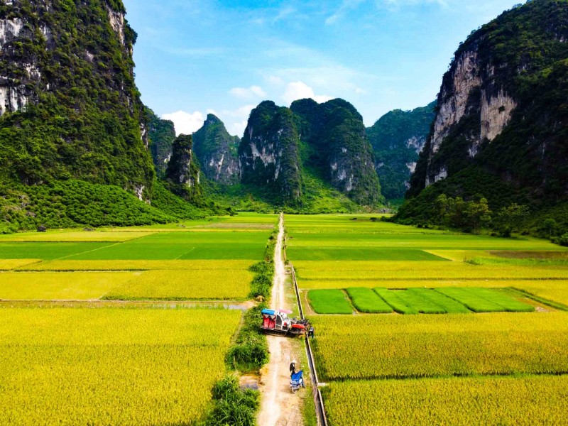 (Ảnh: Hùng Vĩ) (Ảnh: Hùng Vĩ)