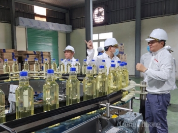 Bộ Công Thương kiểm tra công tác quản lý Nhà nước về an toàn thực phẩm tại Nghệ An