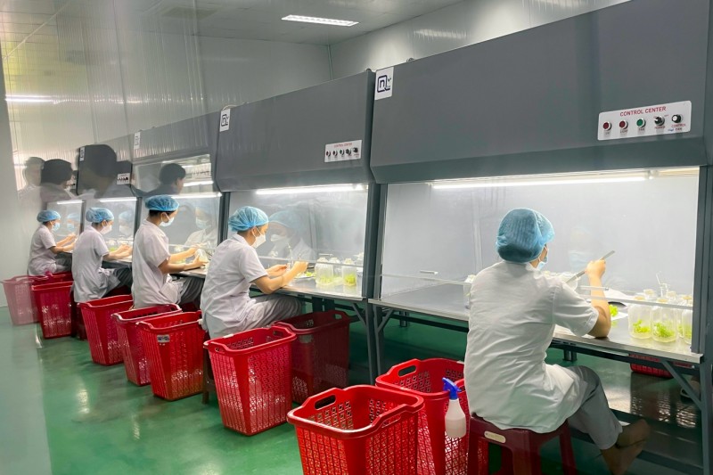 Bài 3: Định hướng ngành công nghiệp sâm Ngọc Linh theo hướng nào? Bài 3: Định hướng ngành công nghiệp sâm Ngọc Linh theo hướng nào?