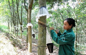 Ngày này năm xưa 28/10: Ban hành quy chế quản lý và sử dụng quỹ thưởng xuất khẩu