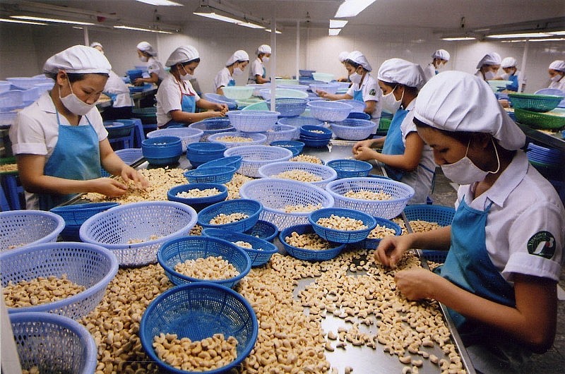 Ảnh minh họa Ảnh minh họa
