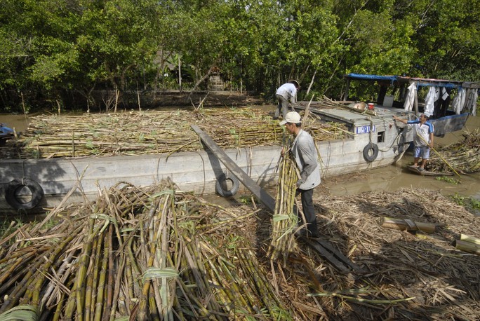 Nhà máy ngừng sản xuất vì giá đường tăng? - Ảnh 1. Nhà máy ngừng sản xuất vì giá đường tăng? - Ảnh 1.