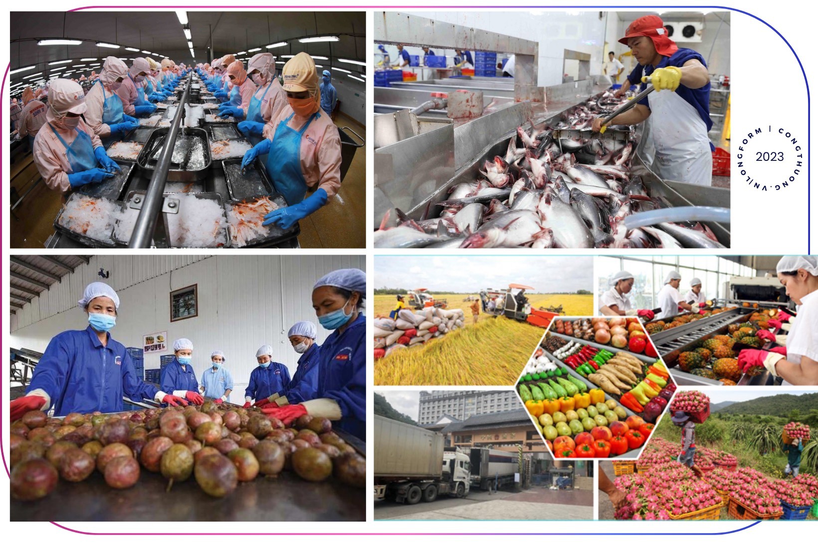 Longform | FTA - Khẳng định vị thế của Việt Nam trên “sân chơi” kinh tế toàn cầu Longform | FTA - Khẳng định vị thế của Việt Nam trên “sân chơi” kinh tế toàn cầu