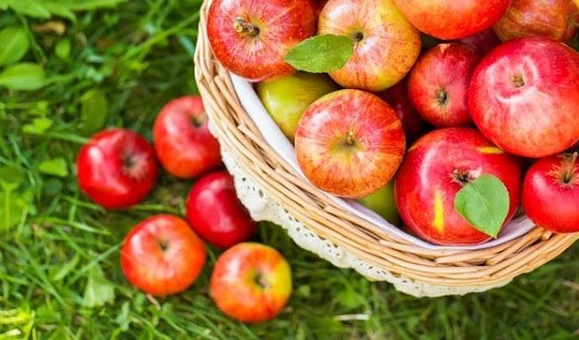 5 loại quả là "khắc tinh" của bệnh tiểu đường 5 loại quả là "khắc tinh" của bệnh tiểu đường