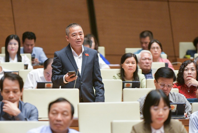 Đại biểu Nguyễn Lân Hiếu - Đoàn ĐBQH tỉnh Bình Định Đại biểu Nguyễn Lân Hiếu - Đoàn ĐBQH tỉnh Bình Định