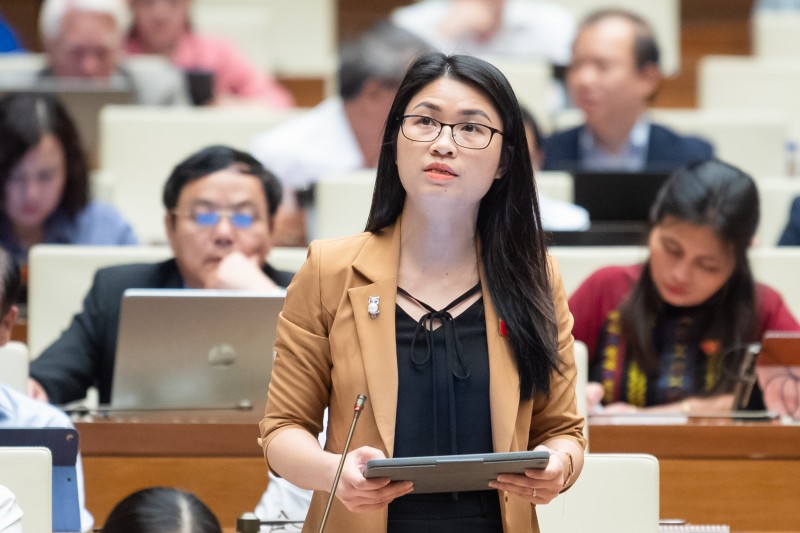 Đại biểu Đinh Thị Ngọc Dung - Đoàn ĐBQH tỉnh Hải Dương: 