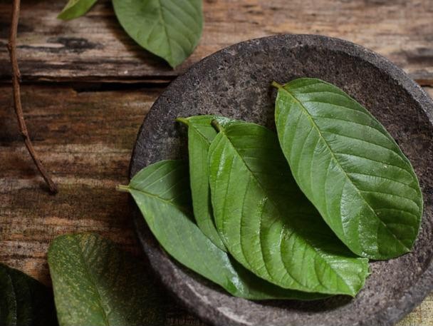 Ảnh minh họa Ảnh minh họa