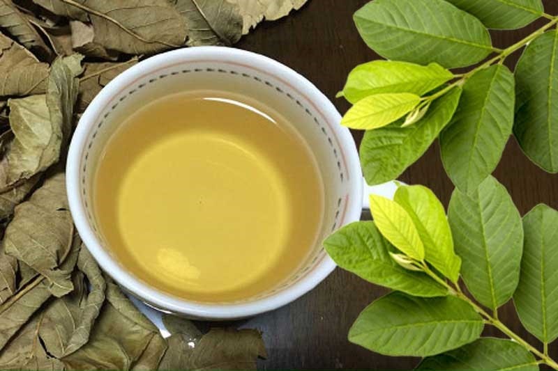 Ảnh minh họa Ảnh minh họa