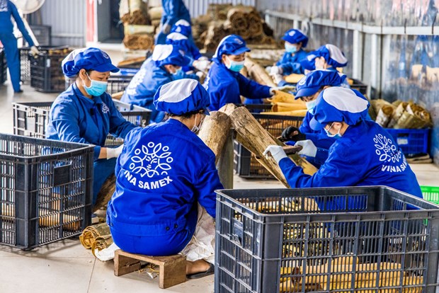 Thúc đẩy ‘cỗ xe tam mã’ để đạt kết quả tăng trưởng kinh tế cao nhất hình ảnh 2 Thuc day ‘co xe tam ma’ de dat ket qua tang truong kinh te cao nhat hinh anh 2