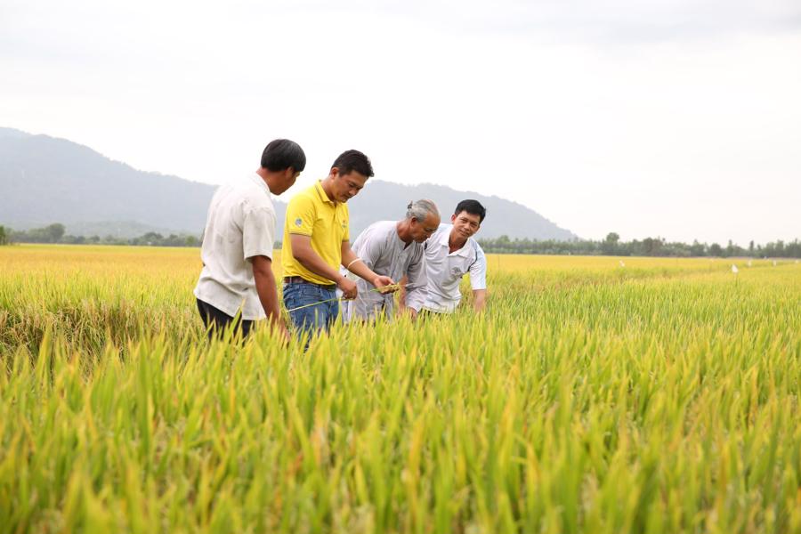 Cán bộ công nhân viên Phân bón Cà Mau với niềm vui trong lao động.
