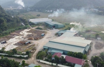 Điểm tin Công Thương-Pháp luật 1/11: Xử lý xưởng ván ép không phép; Thu hồi đất Công ty Hàng Việt Hồng Ngự